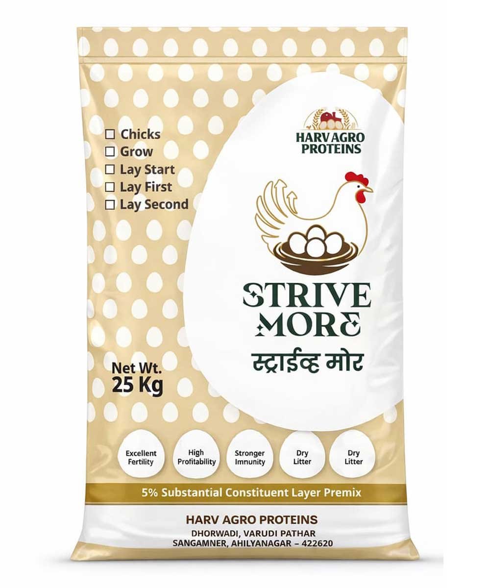 Strive More™ Layer First – 20–56 Weeks
